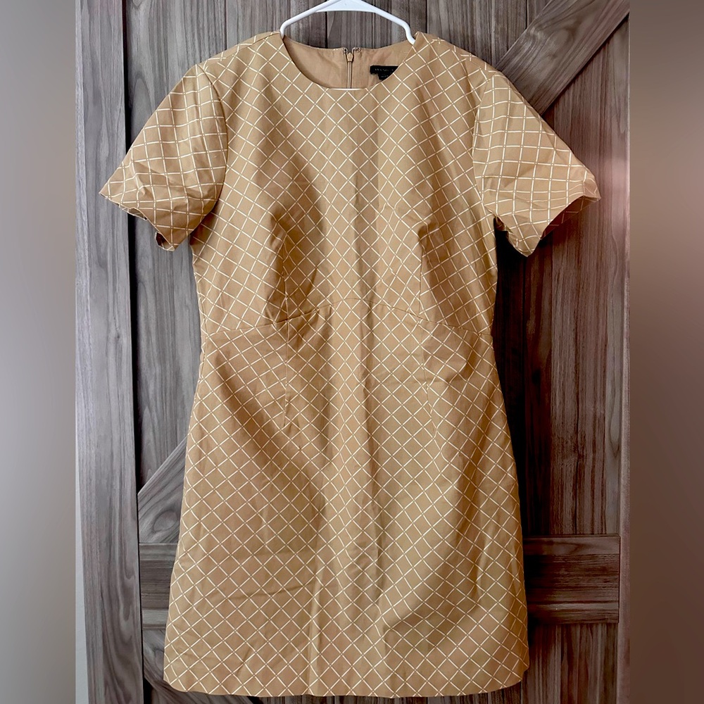 Size 12P Ann Taylor windowpane print dress